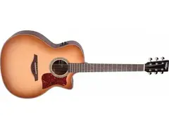 Vintage VGA900SB Acoustic Guitar main image