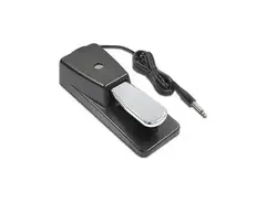 Medeli Sustain Pedal P80A main image