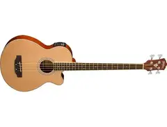 Washburn AB5K Acoustic Bass