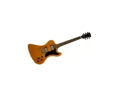 Gibson RD Standard Exclusive Electric Guitar