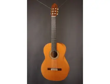 Gerundino GF4 Flamenco