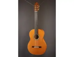 Gerundino GF4 Flamenco main image