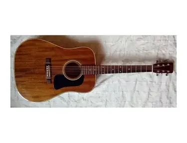 Washburn D15M