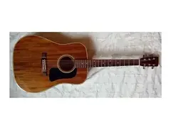 Washburn D15M main image