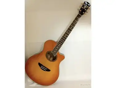 Yamaha APX8