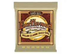 Ernie Ball Earthwood Folk Nylon main image