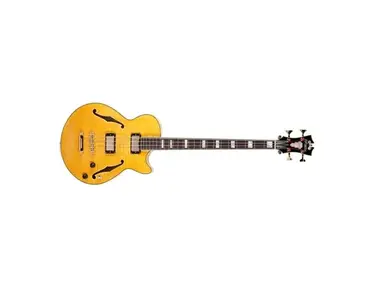 D'Angelico Excel Bass