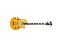 D'Angelico Excel Bass