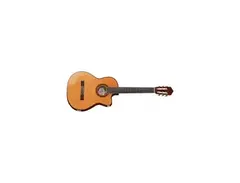 Angel Lopez C1448TCFI-S Acoustic Guitar main image