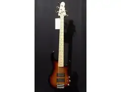 G&L USA L-2500
