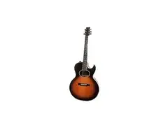 Washburn Tanglewood main image