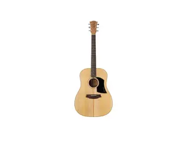 Cole Clark FL1 Acoustic Guitar - What To Know & Where To Buy