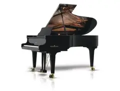 Schimmel Konzert K-219