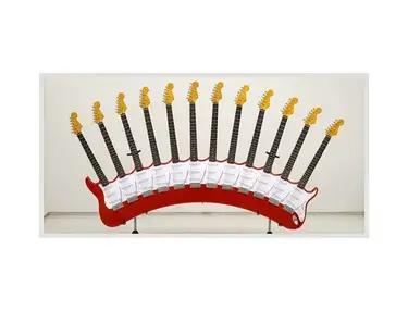 12 Neck Electric guitar
