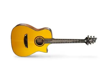 Cort Frank Gambale Luxe