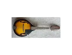 Johnson Instruments MA-100 Mandolin main image