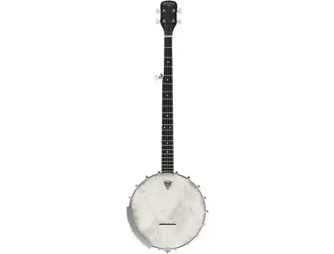 Gretsch Root Series G9450 Dixie 5-String Banjo
