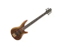Ibanez SR1205 - What To Know & Where To Buy | Equipboard
