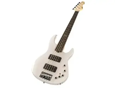 ESP E-II AP-5