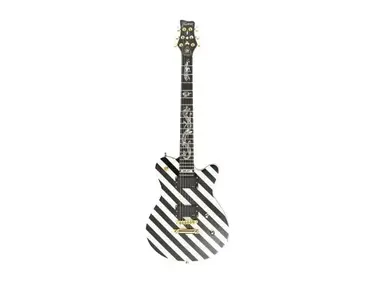FRAMUS Panthera Axel Ritt Custom