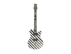 FRAMUS Panthera Axel Ritt Custom main image