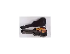 Luna Guitars Vista Wolf ltd.