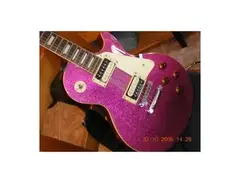 Epiphone Les Paul Standard Plus Limited Edition main image