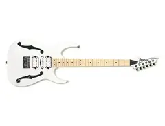 Ibanez PGM301 main image