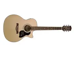 Richwood Master Series G-60-CE main image