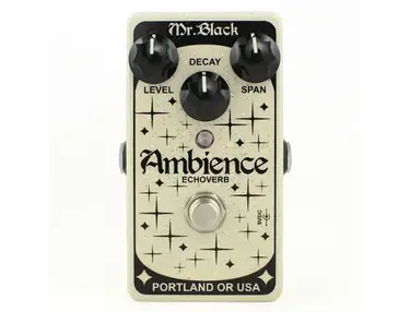 Mr. Black Ambience Echoverb Pedal