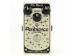 Mr. Black Ambience Echoverb Pedal main image