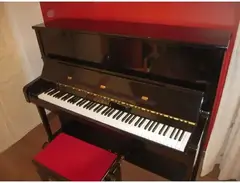Schimmel C-124 main image