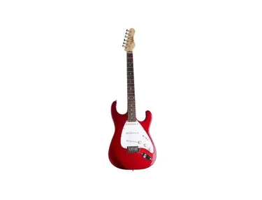 Dolphin Stratocaster