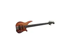 Washburn Classic Series 5 main image