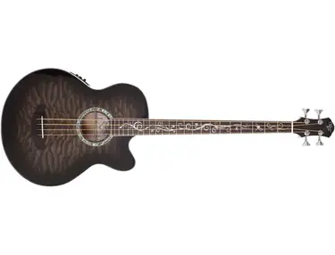 Michael Kelly Dragonfly 4 Fretted Acoustic/Electric Bass Guitar