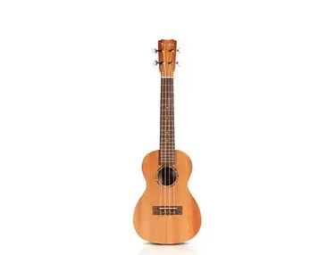 Cordoba Protege U1-M Concert Ukulele