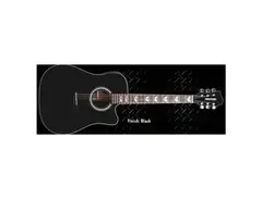 Fernandes PD18-C-EQ Palisade Series Acoustic Electric Guitar