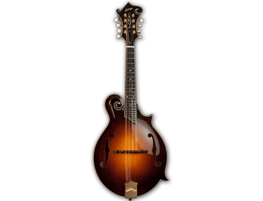 Collings MF5