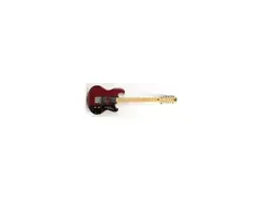 Shergold Masquerader 12-String Guitar