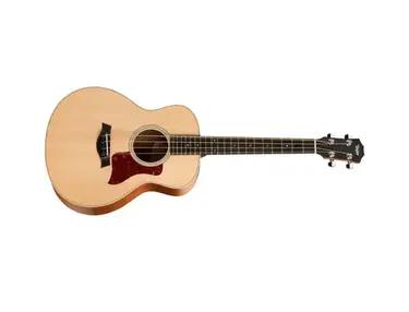 Taylor GS Mini-e Bass
