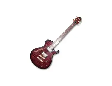 Gary Jacobs Buck Dharma Custom-Made Guitar