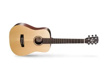 Cort Earth Mini F