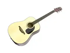 SX Guitars DG-1 main image
