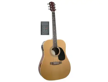 Palmer Guitars P41NE Acoustic Electric Guitar