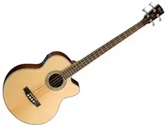 Cort SJB6FX Acoustic Bass