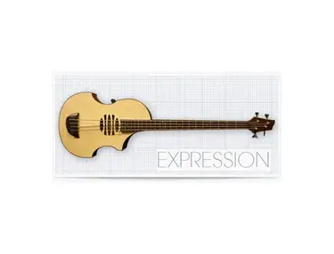 Overwater Expression Acoustic Bass