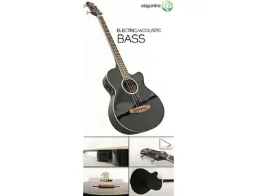 Sky Electric/Acoustic Bass