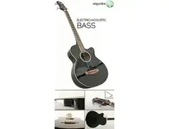 Sky Electric/Acoustic Bass main image