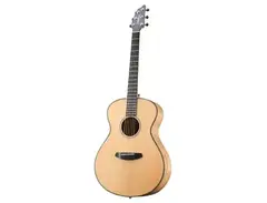 Breedlove Oregon Concert