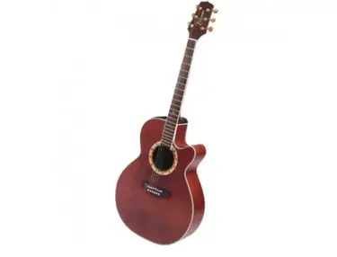 Takamine PT508